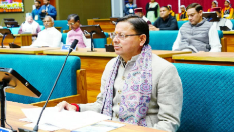 चीड़ की आग पर लगेगी लगाम, लाखों का पिरूल खरीदकर सरकार की बड़ी तैयारी..