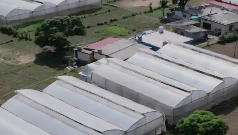 551 करोड़ की पॉलीहाउस योजना अटकी, दो साल बाद भी काम नहीं पकड़ पाया रफ्तार..