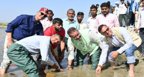 उत्तराखंड में मखाना खेती की शुरुआत, लक्सर से पायलट प्रोजेक्ट लॉन्च..