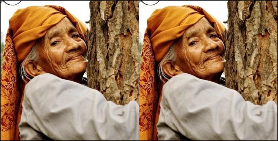 लंदन इंडियन फ़िल्म फ़ेस्टिवल में चमकेगा उत्तराखंड, चिपको आंदोलन पर बनी डॉक्यूमेंट्री का चयन..