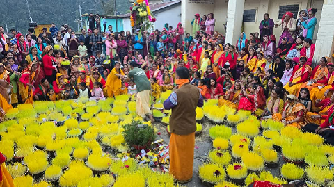 त्रियुगीनारायण मंदिर में जौ की हरियाली अर्पित, सदियों पुरानी परंपरा आज भी कायम..